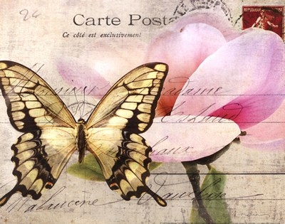 carte-postale-magnolia-i-by-amy-melious-727254 (400x315, 107Kb)