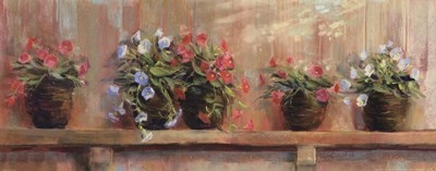 petunias-in-pots-by-carol-rowan-159936 (1) (400x157, 45Kb)