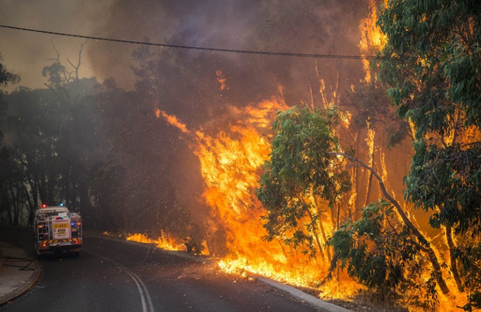 Опасность обезвоживания и лесных пожаров в Австралии