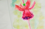  _MG_0182 (700x466, 186Kb)