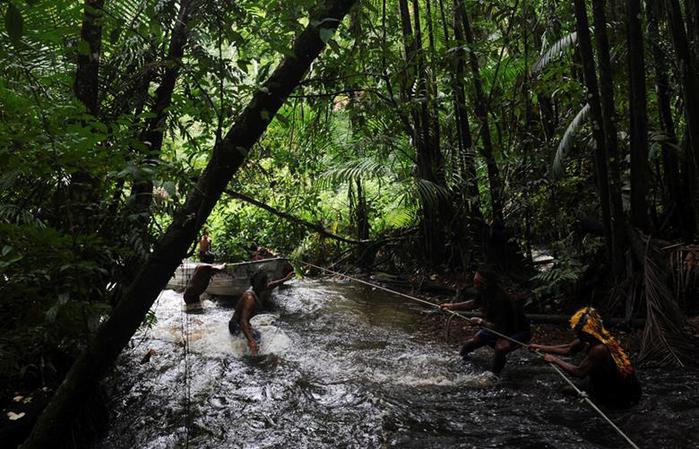 Охота на золотоискателей в джунглях Амазонки