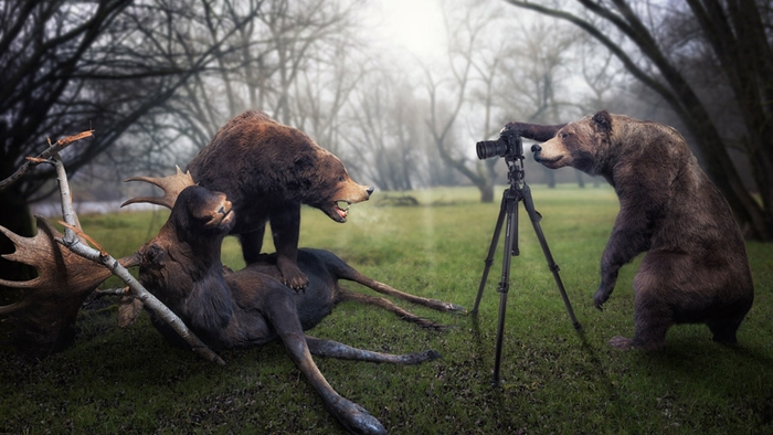 Изворотливая цифровая обработка фотографий дикой природы от Джона Вильгельма