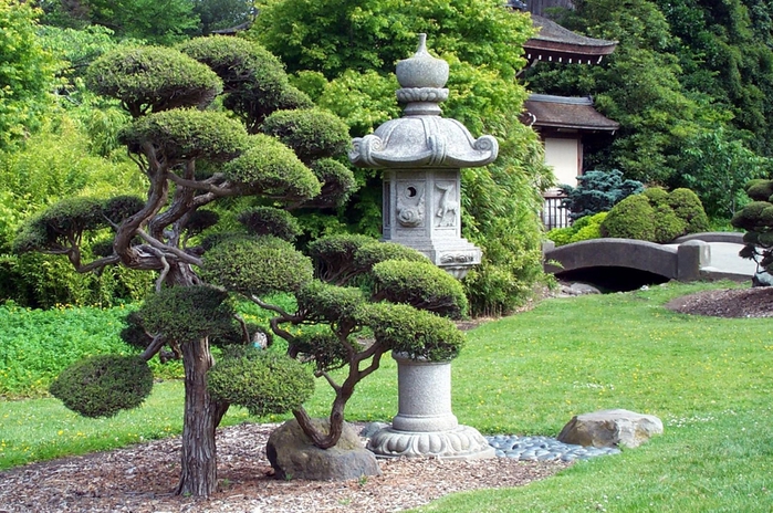 Японский сад (60) (700x464, 346Kb)