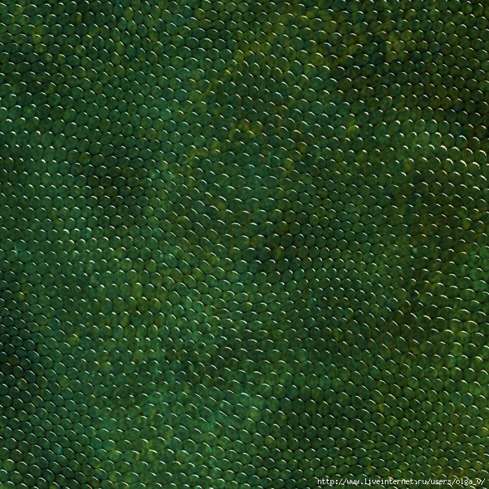 Reptile skins textures by DiZa (28) (700x700, 535Kb)