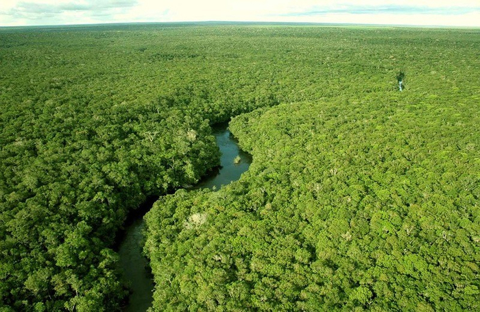 Amazonas01 (700x455, 462Kb)