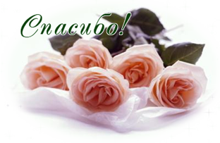  98475386_49741576_cvetuy_roza (312x203, 102Kb)