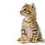 8ea00ebb5f41ecdfb32dfe5ba0830670 (64x64, 18Kb)