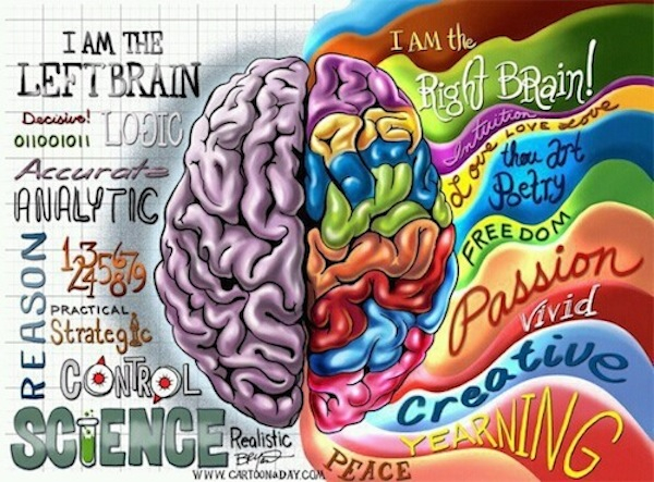109905221_680153_brain_2 (600x443, 344Kb)