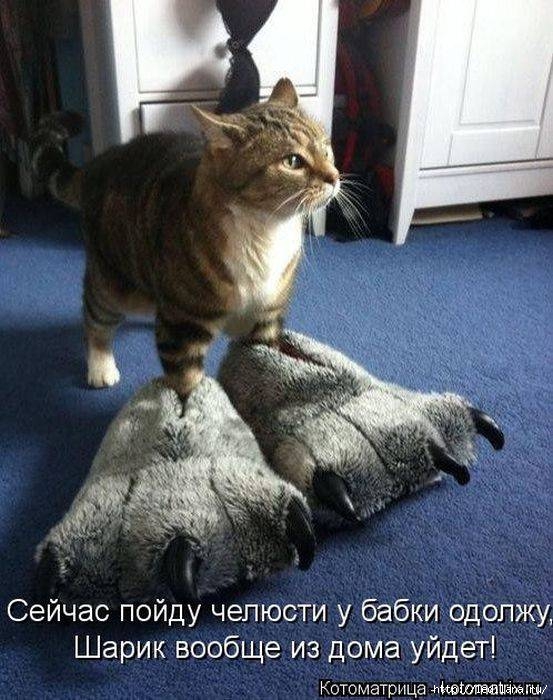 тапочки кот (553x700, 233Kb)