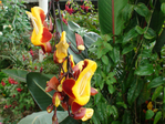  DSC05147 (700x525, 323Kb)