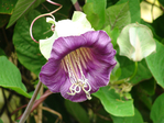  DSC05192 (700x525, 270Kb)