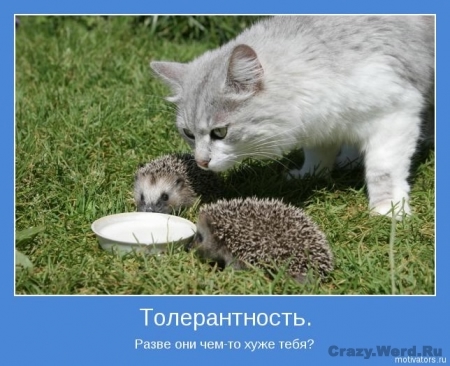 1368686137_www.radionetplus.ru-4 (450x366, 124Kb)