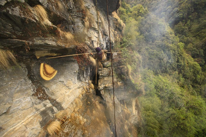 caçadores de mel Nepal 11 foto (690x460, 348KB)