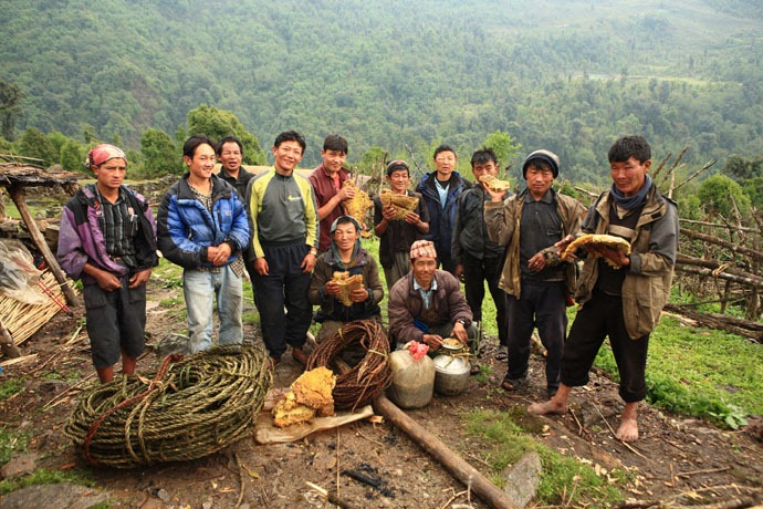 caçadores de mel Nepal 14 foto (690x460, 417KB)