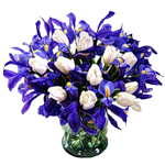 0_64294_27ffa6f2_S (150x150, 40Kb)