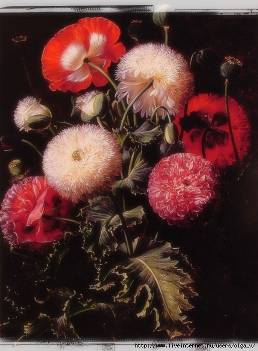 johanlaurentzjensen-still_life_with_pink_red_and_white_poppies (514x700, 267Kb)