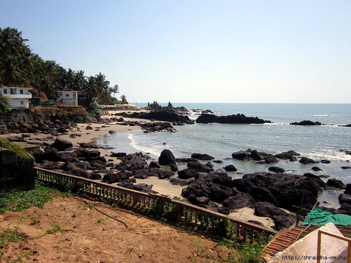 India Goa 2014 (67) (700x525, 319Kb)