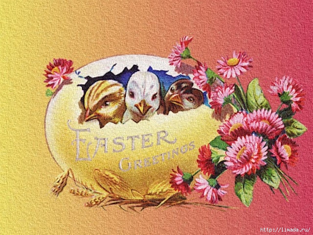 Easter 2 (640x480, 245Kb)