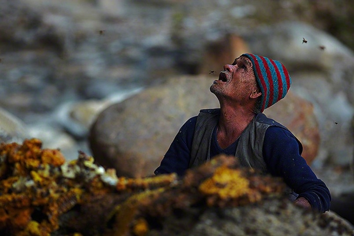 Охота за мёдом непальским народом Гурунгом