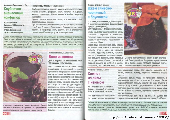 Zol kol 7 2012_34 (700x492, 327Kb)