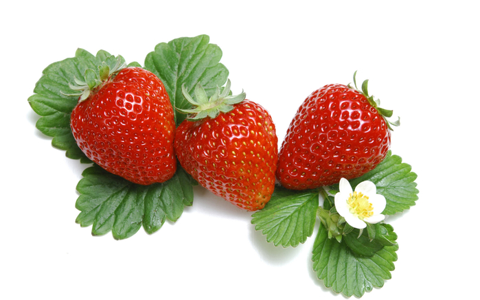 Strawberry_photos_Fresh_Strawberry_Picture_F045036 (700x437, 246Kb)