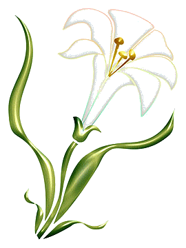 easter-lily (270x360, 18Kb)