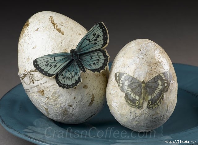 diy-butterfly-eggs (640x467, 145Kb)