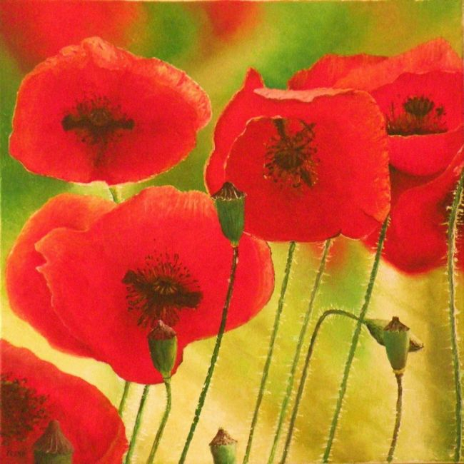 Coeur de Coquelicots (650x650, 352Kb)