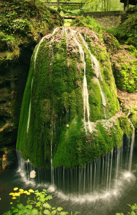 красивый водопад бигар румыния 6 (446x700, 461Kb)