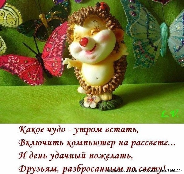 http://img1.liveinternet.ru/images/attach/c/10/111/606/111606413_large_110838697_i187221.jpg