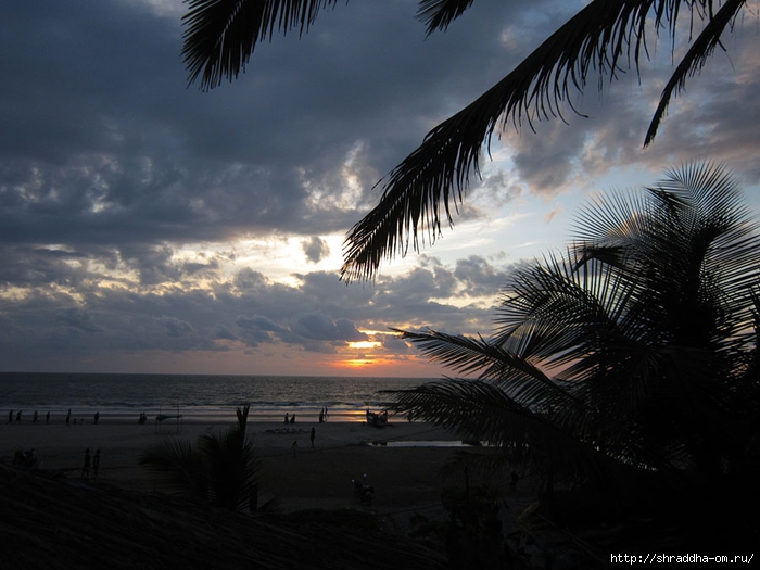 India Goa 2014 (234) (700x525, 234Kb)