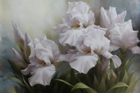 White-Iris-Elegance-II-2007.-90X120--1-541x360 (541x360, 115Kb)