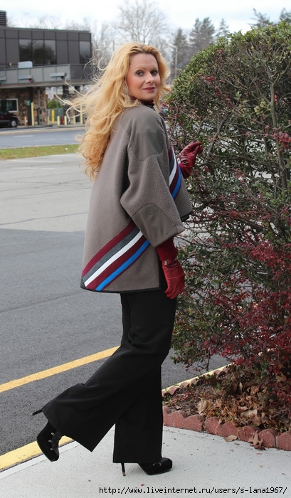 IMG_1318 (409x700, 263Kb)