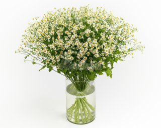 Букеты свежих цветов от Цветочной ФАНТАЗИИ (4) (320x256, 72Kb)