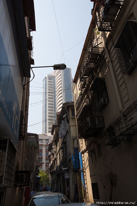 Mumbai 2014 (47) (466x700, 240Kb)