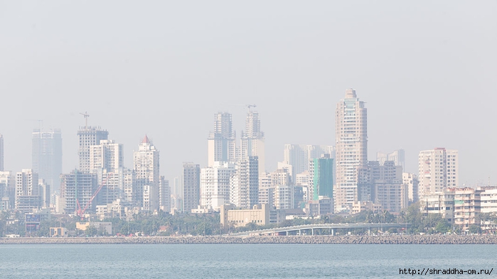 Mumbai 2014 (51) (700x393, 148Kb)