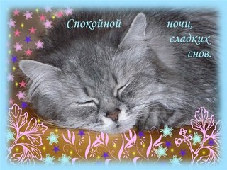 http://img1.liveinternet.ru/images/attach/c/10/112/321/112321675_qoK2Ph02iRc.jpg