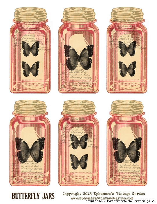 ButterflyJars (541x700, 325Kb)