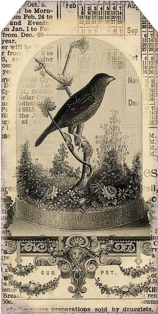 bird under cloche ~ black ~ lilac-n-lavender (322x640, 306Kb)