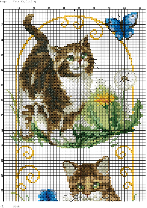 Cats Exploring-001 (494x700, 502Kb)