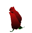 5495565_4be95f76b255 (110x114, 29Kb)