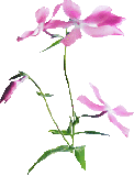 00 (122x160, 5Kb)