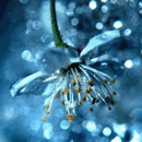 0_aa32a_ec38cc69_S (130x130, 25Kb)