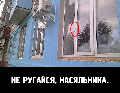 Дом-2. юмор.. обсуждение на liveinternet - российский сервис.