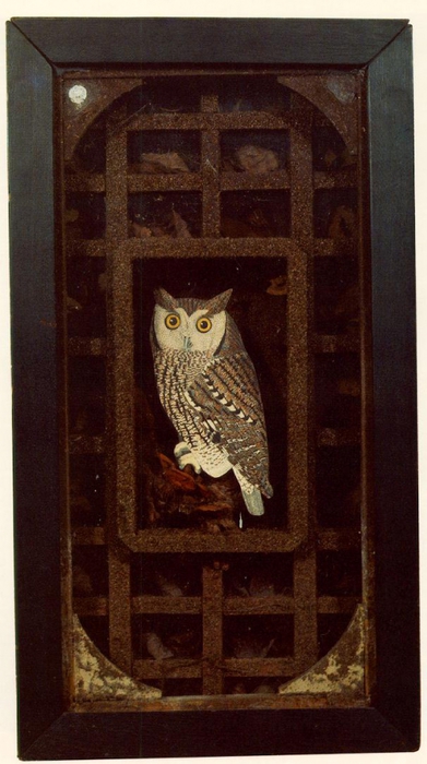 3623822_Joseph_Cornell_7 (391x700, 205Kb)