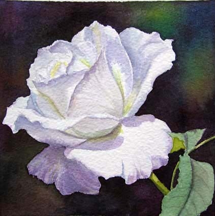 Doris Joa Aquarell Rosen1 (423x425, 108Kb)