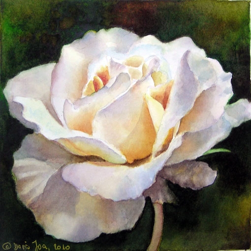 Doris Joa Aquarell Rosen2 (510x511, 177Kb)