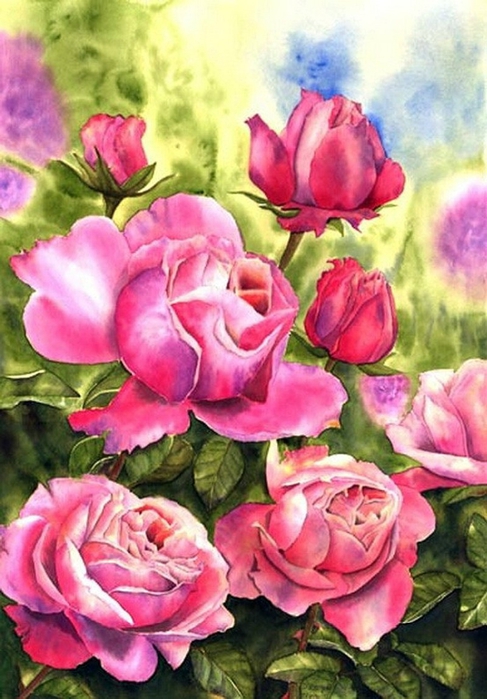 Doris Joa Aquarell Rosen5 (487x700, 267Kb)