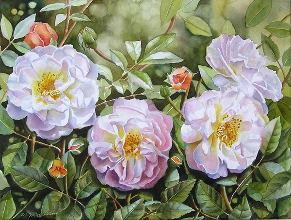 Doris Joa Aquarell Rosen6 (600x454, 225Kb)