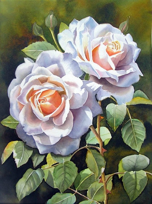 Doris Joa Aquarell Rosen16 (523x700, 285Kb)